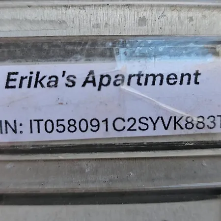 Erika's *